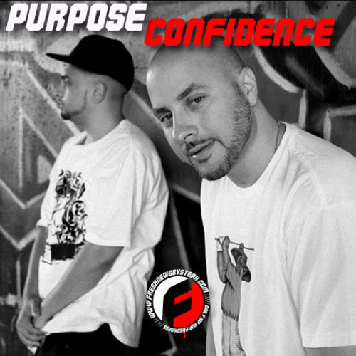 Purpose & Confidence - Felony Findings