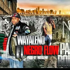 Wayaleno ft Negro flow