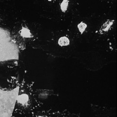 I Will/Like Spinning Plates (Cover)