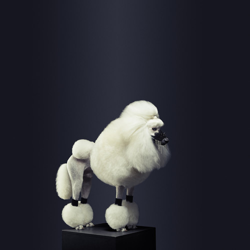 Studio Montaigne - Systematic