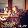 iris-cover-the-icarus-account