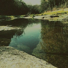 Dragonflies - Amanecer Otra Vez