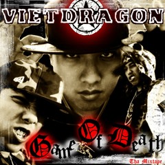 02. VietDragon ft PhuongCD + LinhLam - Vo De