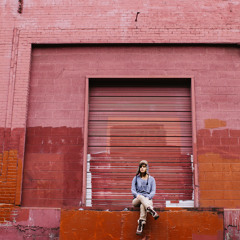 Will Do (w/ Scorched Transmissions)