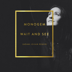 Wait And See (Adam Johan Remix) - Monogem