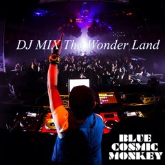 BLUE COSMIC MONKEY Mini Dj Mix April 2014 ” The Wonder Land ”