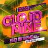 Top 40 Cloud Nine Anthems of 2013 | Mixed by Press Play & Some Blonde DJ