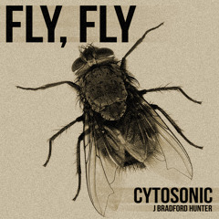 cytoSonic - Fly, Fly (polyIblit)