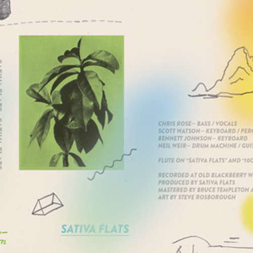 Sativa Flats "Internet"