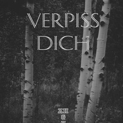 ZHZN - Verpiss Dich