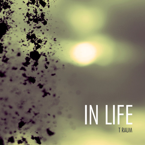 T Raum - In Life feat. Simple One (Fux Remix)