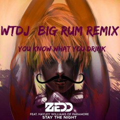 Zedd ft. Hayley Williams - Stay The Night (WTDJ Big Rum Remix - You Know What You Drink) [FREE DL]