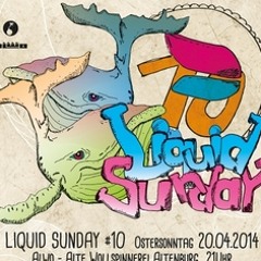 Marcapasos & Janosh @ Liquid Sunday 10.0