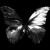 Artwork for Blacklit Canopy- Mud Angel