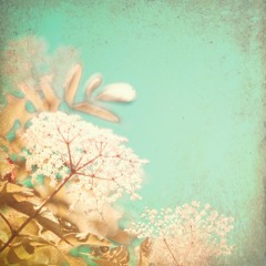 为你的寂寞唱歌（清唱版）