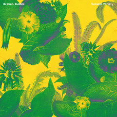 Can You Smell It - http://brokenbubble.bandcamp.com/album/second-variety