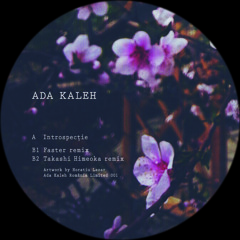 Ada Kaleh - Introspecție