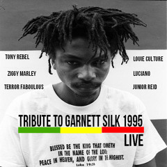 Garnett Silk Tribute 1995 Ft - Ziggy Marley, Luciano, Tony Rebel, Junior Reid & more