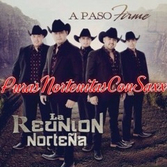A Paso Firme Mix - La Reunion Nortena (2014)