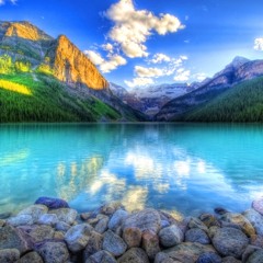 Support the Come Ups