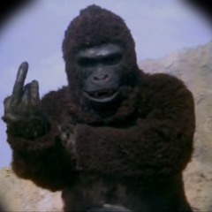ION- Stoned Gorillaz  [SUNSHINE RECORDS/NAMASTERIA]FREE DOWNLOAD