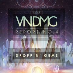 VNDMG Report 04 - Droppin' Gems