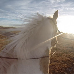 Luna Jax Music ( Joshua Levitre )