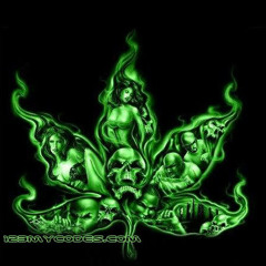 Kidd KushXNiyah BX5pitta