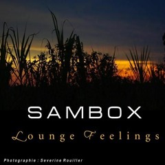 Sambox - Patchouli