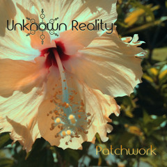10 - Mikrokosmos & Unknown Reality - Ho'oponopono