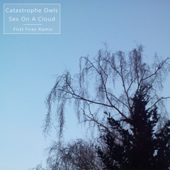 Sex On A Cloud - Catastrophe Owls (First Fires Remix)