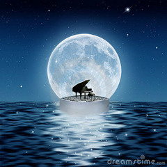 Under The Moonlight