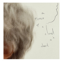 The Trace of a Cloud in a Chest / Produced by Weidong Lin