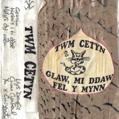 Llys Darfil, gan Twm Cetyn