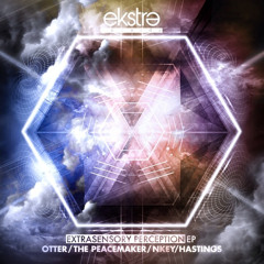 TheWaySheMoves(ItsAWarning)- The Peacemaker - Ekstre Records 2014