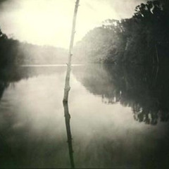 The Crying Gun - Someone To Save You