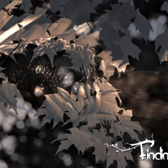 Oscillist - Finding Solace