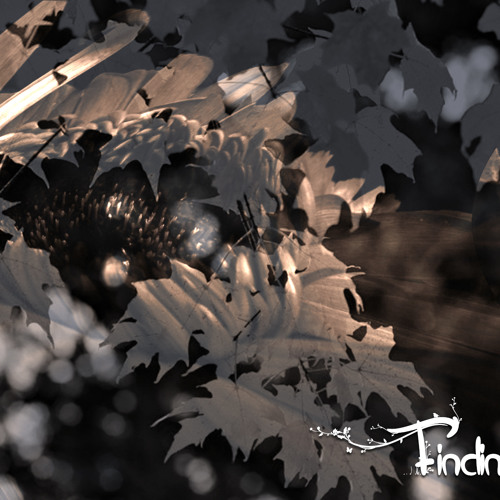 Oscillist - Finding Solace