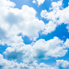 In The Cloudz