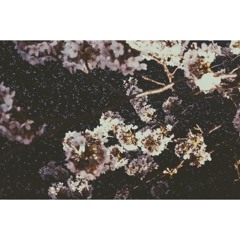 Bang Bang Cover- Nancy Sinatra