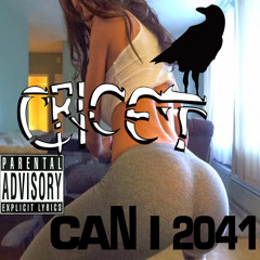 CAN I 2041