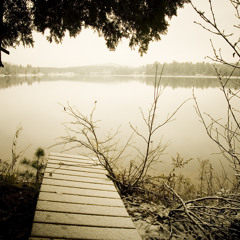 Ferris Bueller's Day On