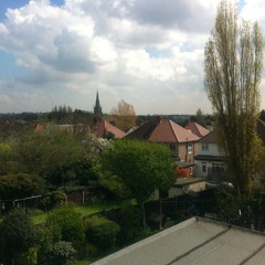 Think Im Stupid Don  - by mr amenbreak {freedown}