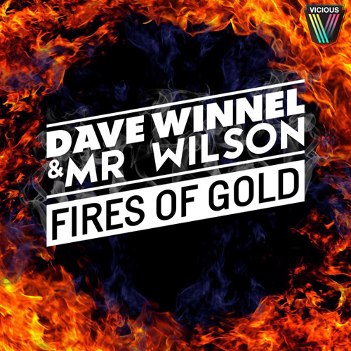Dave Winnel & Mr Wilson - Fires Of Gold (Dirty Rush & Gregor Es Remix)