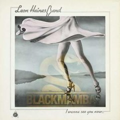 Leon Haines Band - For You To Remember