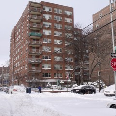 QUEENZ 135 [FREE D/L]