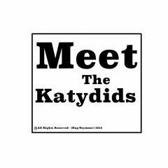 COUNTDOWN TO THE SUN  [mp3]  Brand New KATYDIDS Music
