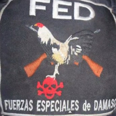 Fuerzas.Especiales.Damaso-Grupo Sexto Sentido a Dueto Con Varias Agrupasiones