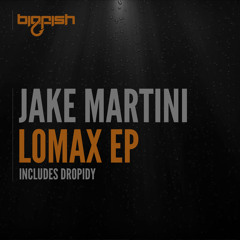 Jake Martini - Dropidy (Original Mix)