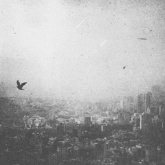 Nguyen Tuan Linh - Find